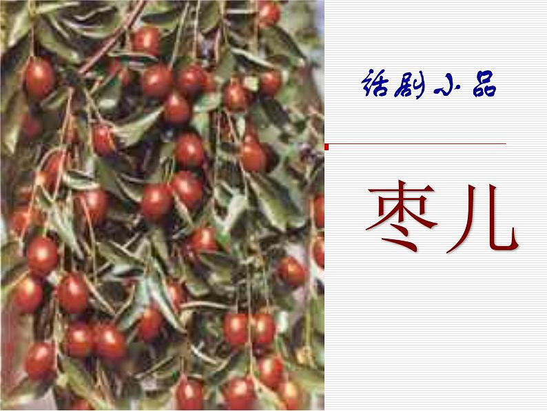 第19课《枣儿》课件01