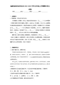 福建省漳州市华安县2022-2023学年九年级上学期期中语文试题(含答案)
