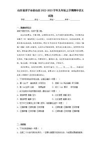 山东省济宁市梁山县2022-2023学年九年级上学期期中语文试题(含答案)