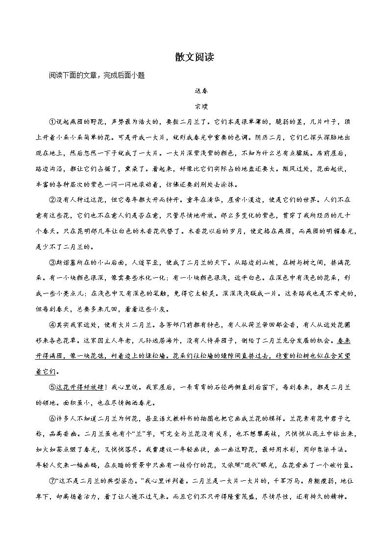 12散文阅读-2022-2023学年七年级语文上册知识梳理与能力训练第1页