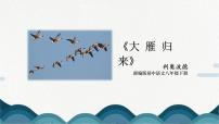 人教部编版八年级下册大雁归来获奖ppt课件