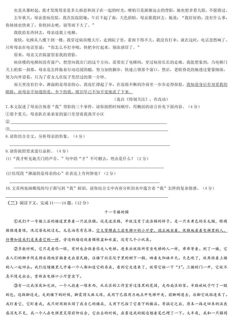 河南省南阳市唐河县2022-2023学年七年级上学期第三次月考语文试卷03