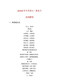 2023年中考语文一轮复习专练：名句默写