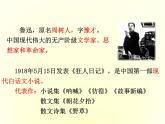 社戏现代文课件资料