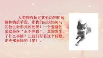 人教部编版七年级上册16 猫教案配套课件ppt