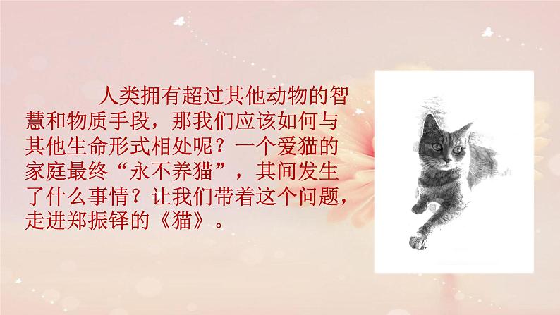 猫现代文课件资料01