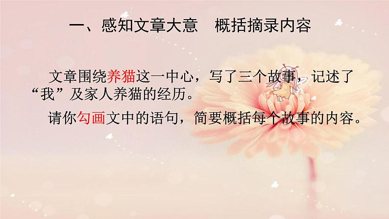 猫现代文课件资料02