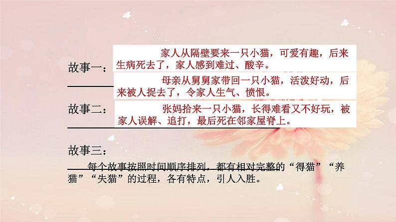 猫现代文课件资料03