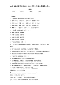 山东省滨州市无棣县2022-2023学年七年级上学期期中语文试题(含答案)