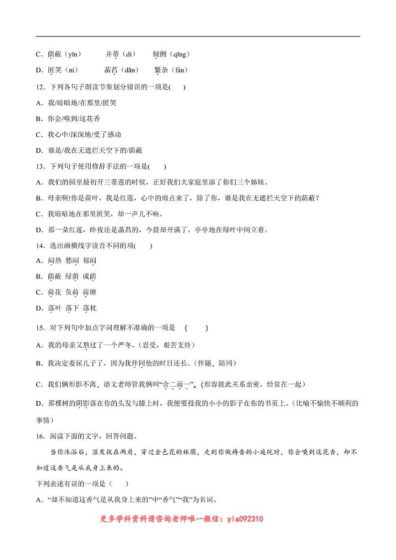 2022-2023学年七年级语文上册  第07课 散文诗二首(考点训练)(原卷版)03