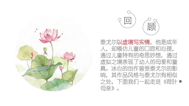 七年级上册《荷叶·母亲》冰心课件ppt02