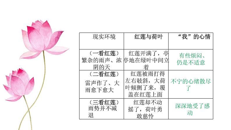 七年级上册《荷叶·母亲》冰心课件ppt05