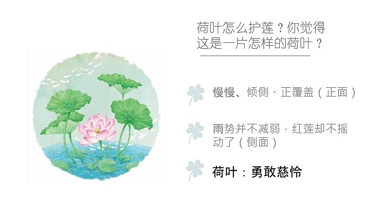 七年级上册《荷叶·母亲》冰心课件ppt08