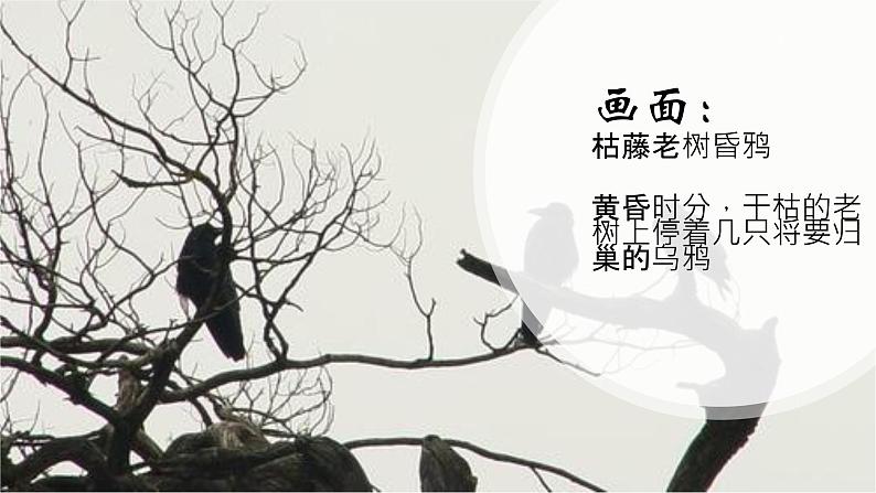 《天净沙秋思》马致远课件PPT第4页