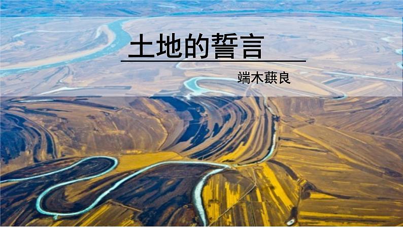 8《 土地的誓言》第2页