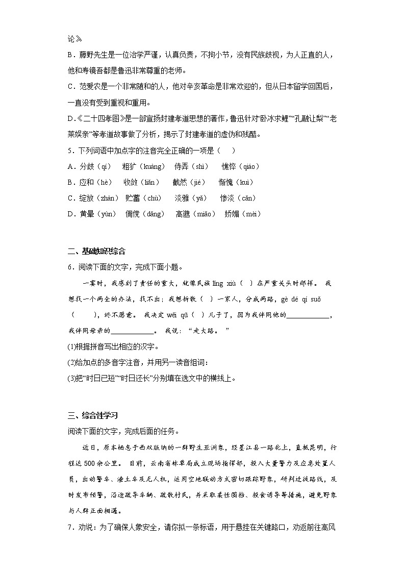 2022年部编版初一语文上册期末月考复习（3）第2页