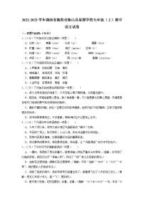 湖南省衡阳市衡山县星源学校2022-2023学年七年级上学期期中语文试卷