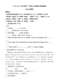 安徽省合肥市蜀山区2020-2021学年九年级上学期期末语文试题（含答案）