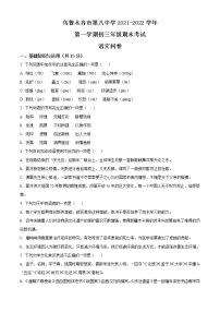 新疆乌鲁木齐市第八中学2021-2022学年九年级上学期期末语文试题