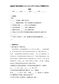 福建省宁德市霞浦县2022-2023学年七年级上学期期中语文试题(含答案)