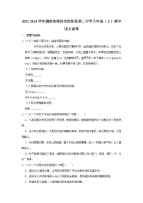 湖南省郴州市桂阳县第二中学2022-2023学年八年级上学期期中考试语文试题(含答案)