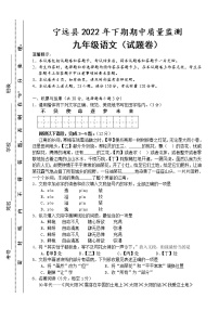 湖南省永州市宁远县2022-2023学年九年级上学期期中质量监测语文试题(含答案)