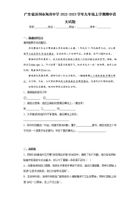 广东省深圳市海湾中学2022-2023学年九年级上学期期中语文试题(含答案)