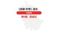 中考总复习语文名著练习第6篇 昆虫记课件