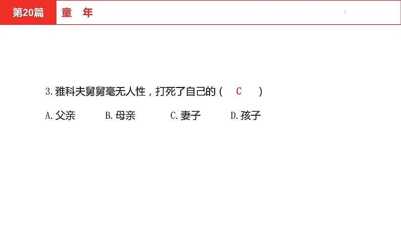 中考总复习语文名著练习第20篇  童年课件04