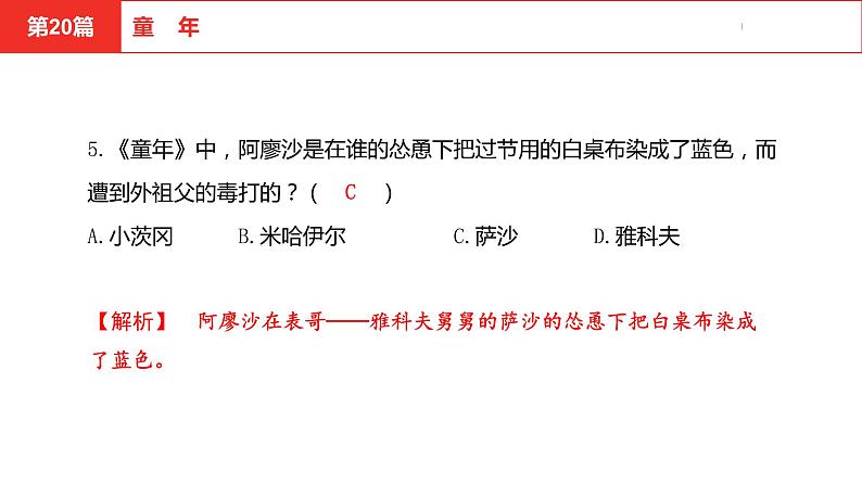 中考总复习语文名著练习第20篇  童年课件06