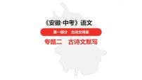 中考总复习语文古诗词曲鉴赏专题第7首  登幽州台歌课件