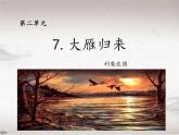 第7课 大雁归来（教学课件）-初中语文人教统编版八年级下册