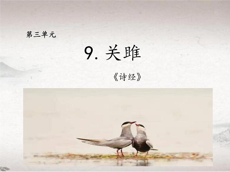 12.1 关雎（教学课件）-初中语文人教统编版八年级下册第1页