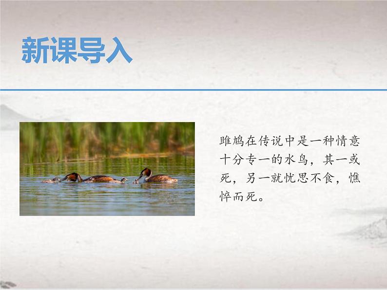 12.1 关雎（教学课件）-初中语文人教统编版八年级下册第3页