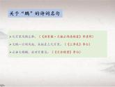 第六单元 21.1 北冥有鱼（教学课件）-初中语文人教统编版八年级下册