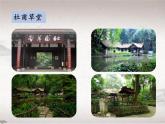 第六单元 24.2 茅屋为秋风所破歌 （教学课件）-初中语文人教统编版八年级下册
