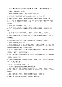 2023届中考语文高频考点专项练习：专题二 句子综合训练（B）