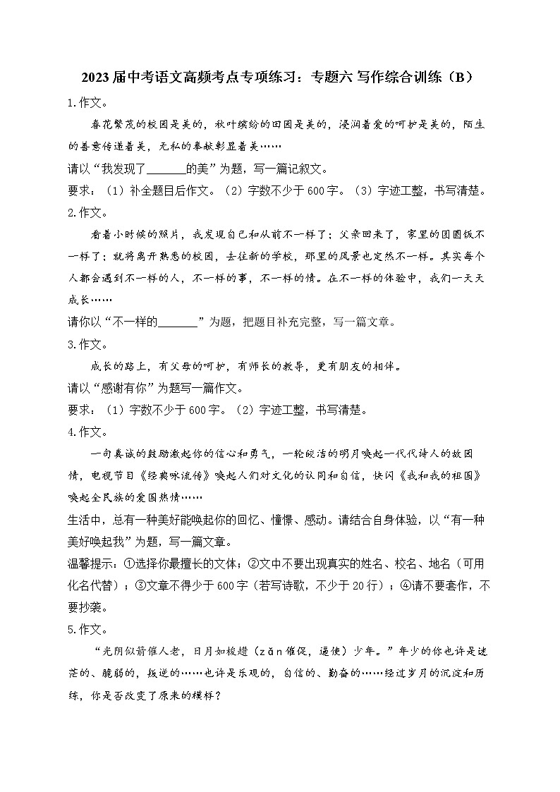 2023届中考语文高频考点专项练习：专题六 写作综合训练（B）第1页