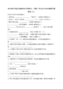 2023届中考语文高频考点专项练习：专题三 考点05 名句名篇默写质检卷（A）