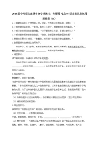 2023届中考语文高频考点专项练习：专题四 考点07 语言表达及运用质检卷（B）