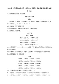 2023届中考语文高频考点专项练习：专题五 阅读理解及鉴赏综合训练（B）
