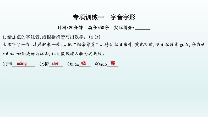 部编版九年级语文上册专项训练一　字音字形课件PPT01