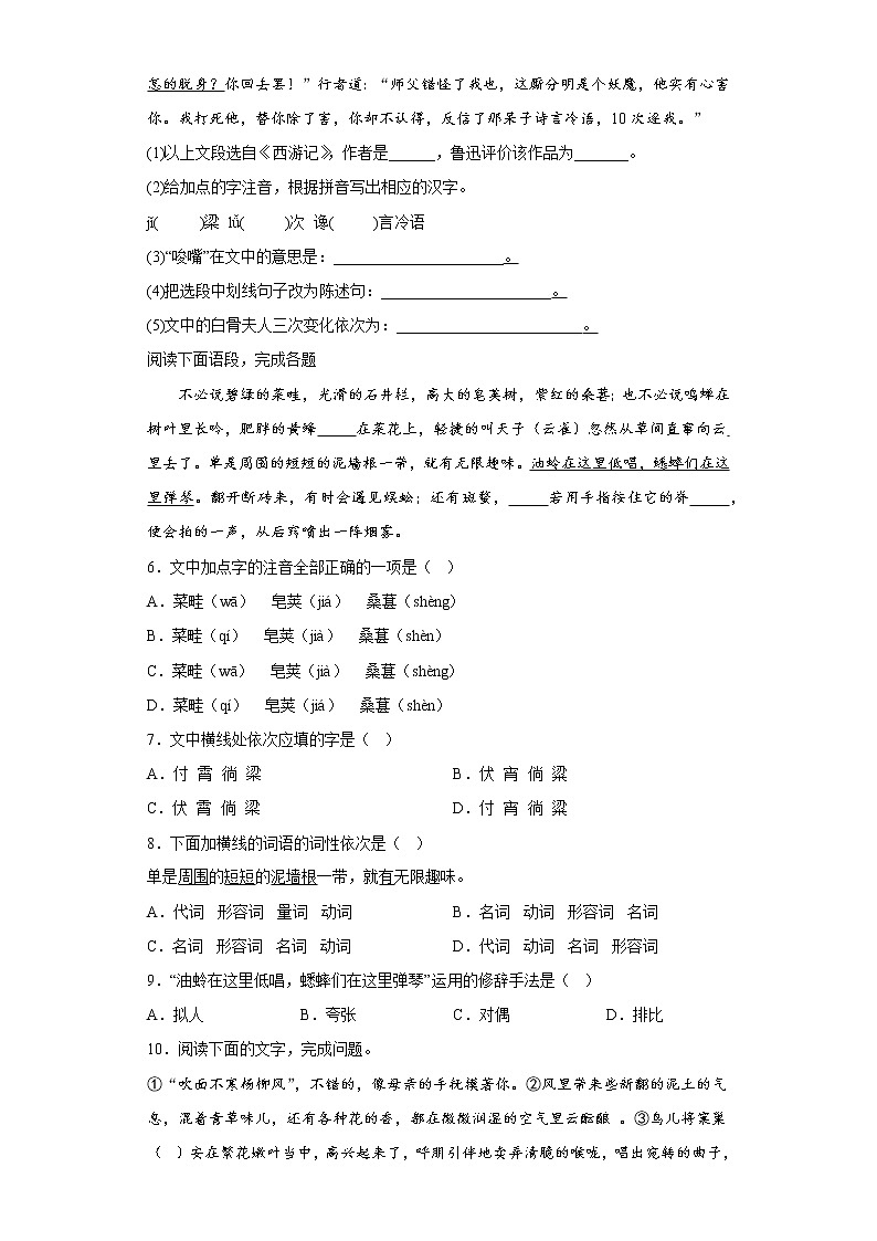 部编版语文七年级上册期末专项复习——基础知识综合（原卷版）第2页