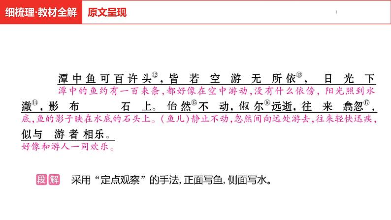 中考总复习语文古诗文阅读专题-文言文阅读11.小石潭记课件第8页