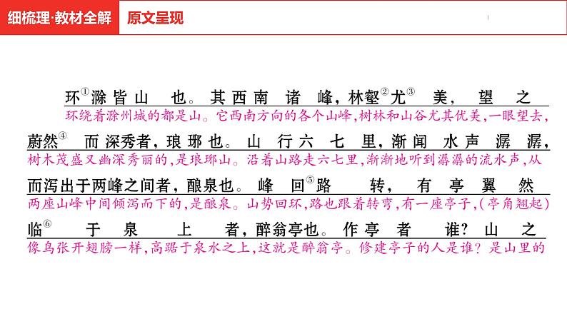 中考总复习语文古诗文阅读专题-文言文阅读16.醉翁亭记课件06
