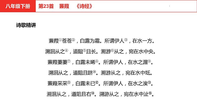 中考总复习语文（河北）古诗文专题二古诗词鉴赏第23首  蒹葭课件05