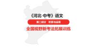 中考总复习语文（河北）积累与运用全国视野新考法拓展训练课件