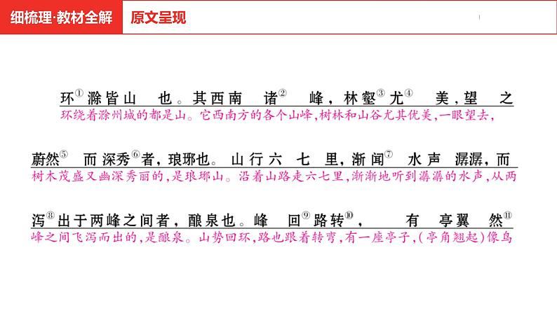 中考总复习语文（河南）古诗文专题一文言文默写与阅读2.醉翁亭记课件第5页
