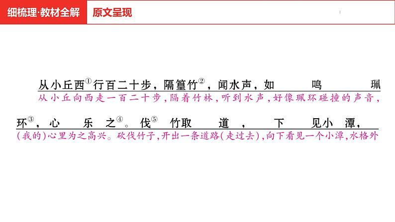 中考总复习语文（河南）古诗文专题一文言文默写与阅读19.小石潭记课件第5页