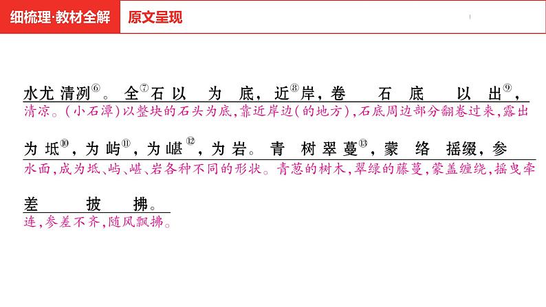 中考总复习语文（河南）古诗文专题一文言文默写与阅读19.小石潭记课件第6页